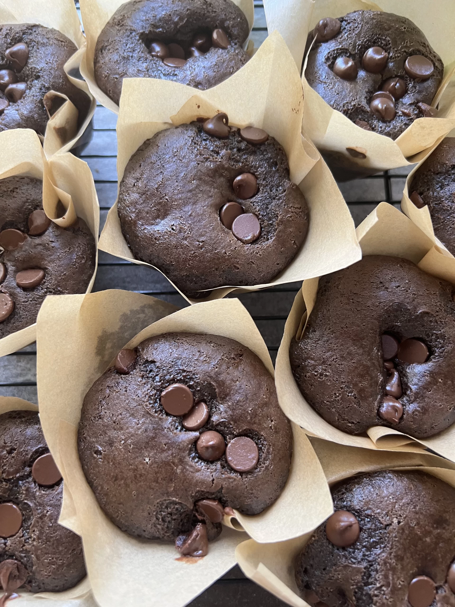 Easy Double Chocolate Chip Muffins Recipe | In-Fused Living: The fusion ...