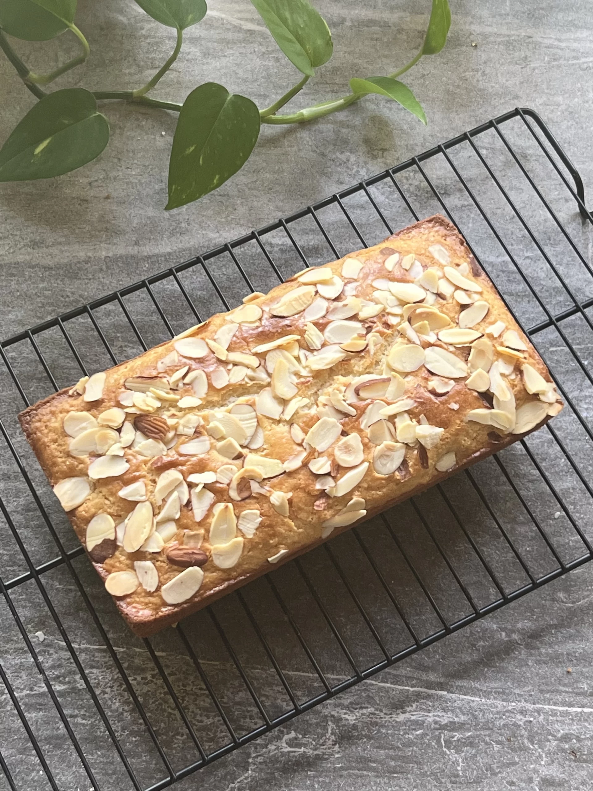Sticky almond cake recipe | York Press